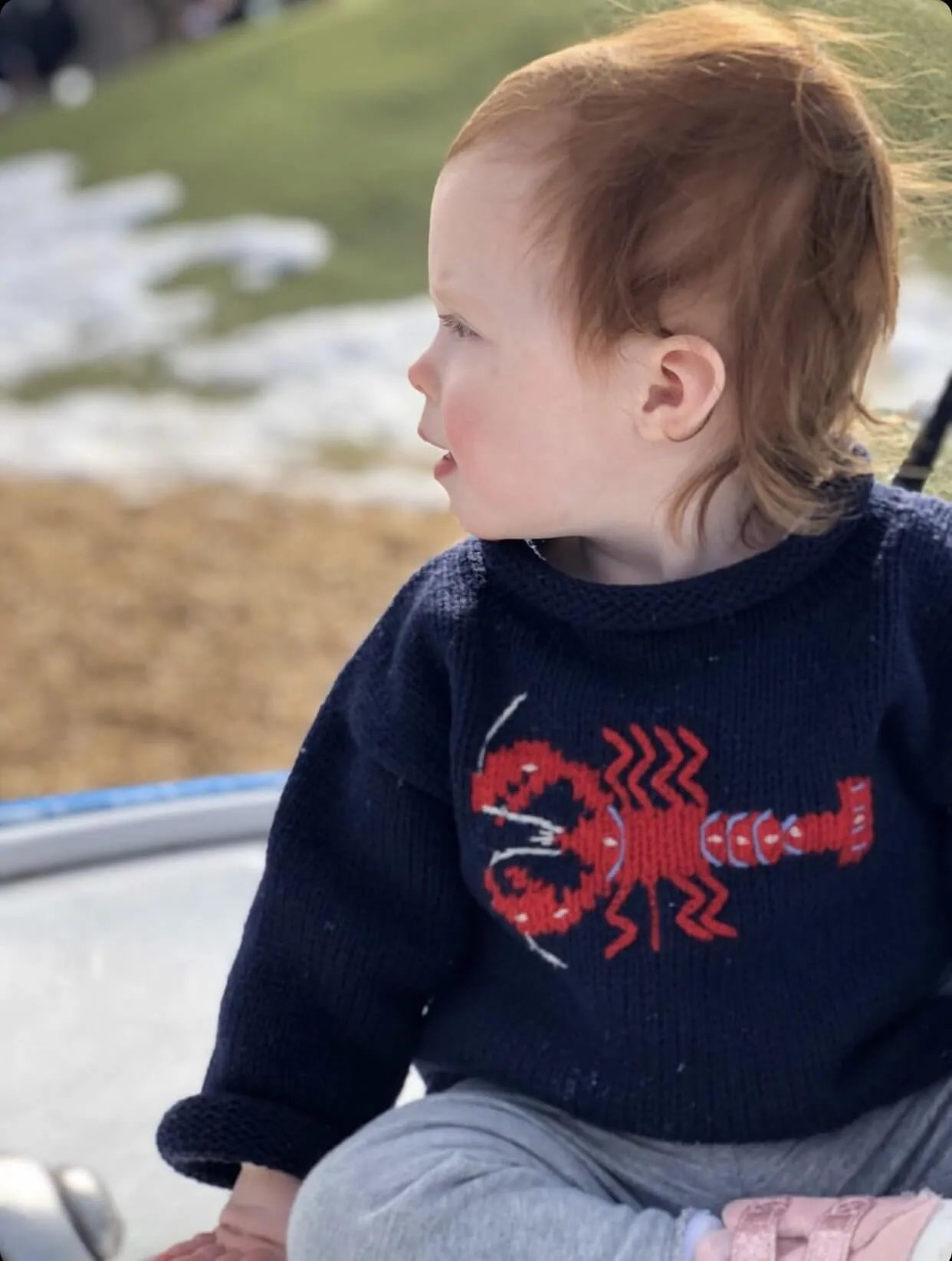 Navy Lobster Roll Neck Sweater